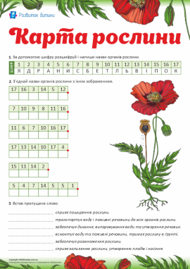 Карта рослини: від шифру до будови