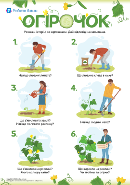 Вирощування огірків: розповідь за картинками