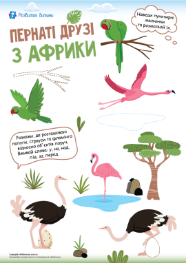 Орієнтація в просторі, графомоторика та птахи Африки