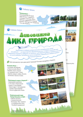 Дивовижна дика природа