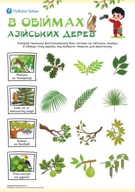 Ознайомлення з деревами і тваринами Азії