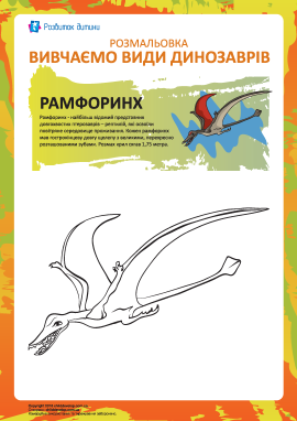 Розмальовка динозаври: рамфоринх