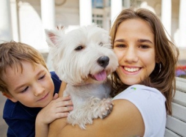 Чи варто заводити улюбленця вашому малюку?