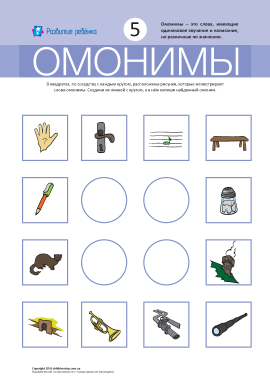 Омоніми № 5 («ручка, норка, соль, труба»)
