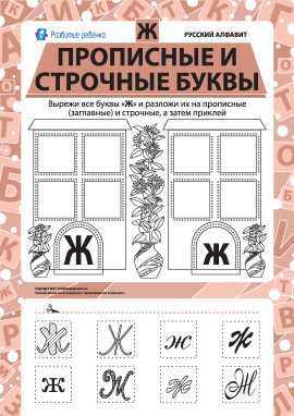 Учимо велику та рядкову літеру Ж (російська абетка)