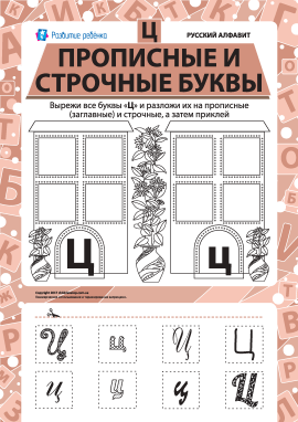 Учимо велику та рядкову літеру Ц (російська абетка)