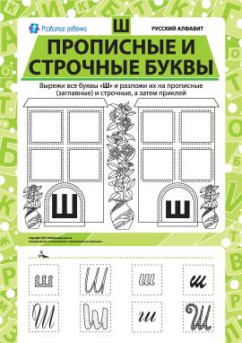 Учимо велику та рядкову літеру Ш (російська абетка)