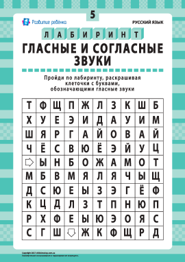 Голосні та приголосні звуки № 5 (російська мова)