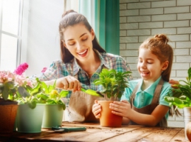 Прості способи очистити будинок від токсинів