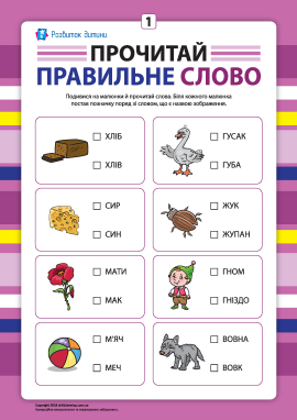 Вибери правильне слово №1 (розвиток навичок читання)