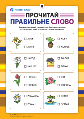 Вибери правильне слово №8 (розвиток навичок читання)
