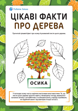 Цікаві факти про дерева: осика