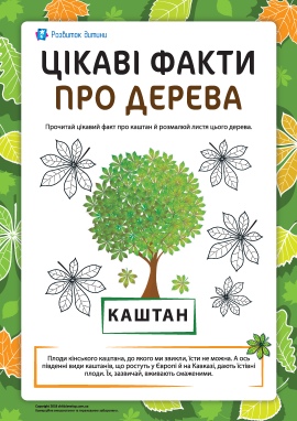 Цікаві факти про дерева: каштан