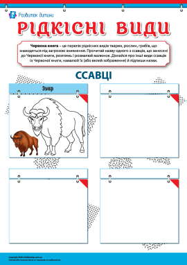 Червона книга: вивчаємо рідкісні види ссавців