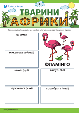 Розповідаємо про фламінго