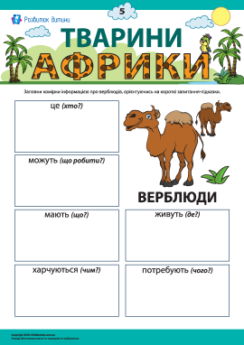Розповідаємо про верблюдів