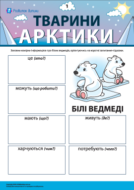 Розповідаємо про білих ведмедів