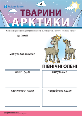 Розповідаємо про північних оленів