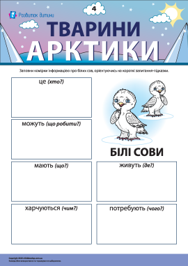 Розповідаємо про білих сов