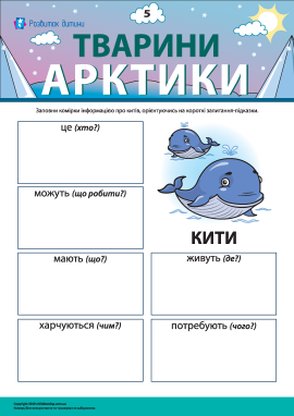 Розповідаємо про китів