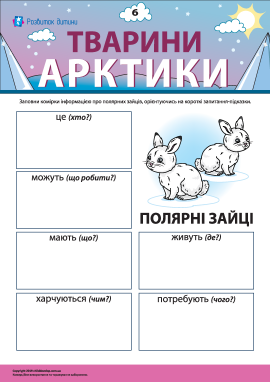 Розповідаємо про полярних зайців