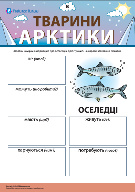 Розповідаємо про оселедців