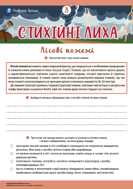 Дізнаємося про лісові пожежі й способи захисту від них