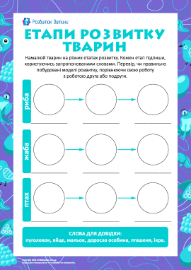 Визначаємо етапи розвитку тварин Визначаємо етапи розвитку тварин