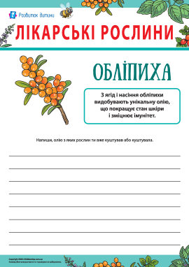Дізнаємося цікавий факт про обліпиху