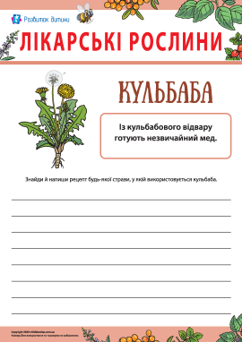 Дізнаємося цікавий факт про кульбабу