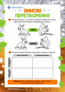 Вивчаємо зимові перетворення