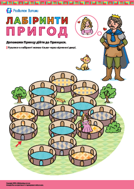 Лабіринти пригод: шлях Принца до Принцеси