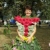 Виктория Сербина