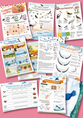 Пернаті туристи: про перелітних птахів для дітей 5 років