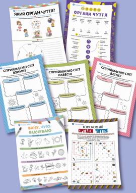 Як людина пізнає світ: органи чуття