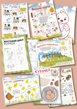 Птахи нашого подвір’я — для дітей 4 років