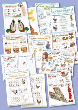 Птахи нашого подвір’я — для дітей 6 років