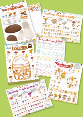 Гриби для дітей 4 років 