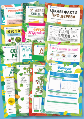 Різноманітність рослин: дерева, кущі та трав’янисті рослини