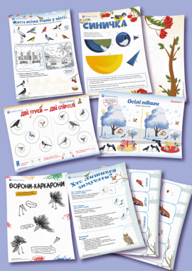 Птахи, що зимують поруч із людьми, — для дітей 4 років