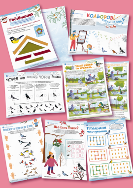 Птахи, що зимують поруч із людьми, — для дітей 5 років