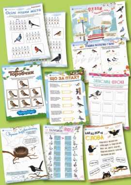 Птахи, що зимують поруч із людьми,— для дітей 6 років