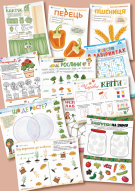 Досліджуємо рослинний світ: для дітей 5 років